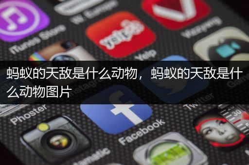 蚂蚁的天敌是什么动物，蚂蚁的天敌是什么动物图片